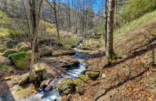 Waynesville House | Creekside Cabin with Fire Pit and Grill on Hemphill