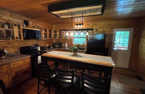 Cosby Cabin | Creekside with views - jacuzzi, firepit, arcade