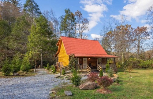 Cosby Cabin | Creekside with views - jacuzzi, firepit, arcade