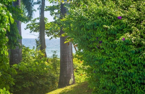 Sainte-Rose Villa | Creole villa with sea view and private pool between Ste Rose and Deshaies