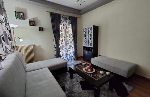 Kastoria Apartment | Crestio apartment Καστοριά