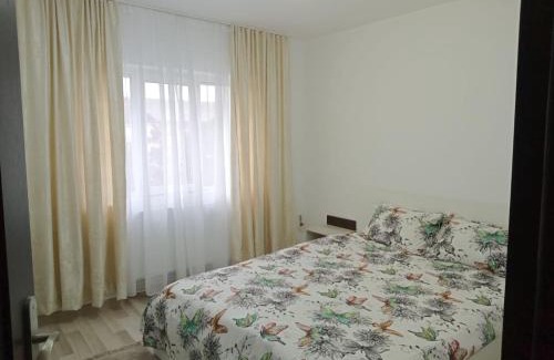 Suceava Apartment | Criss Apartament
