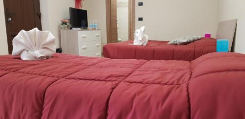 Alba House | Cristallo Camere