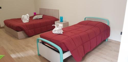 Alba House | Cristallo Camere