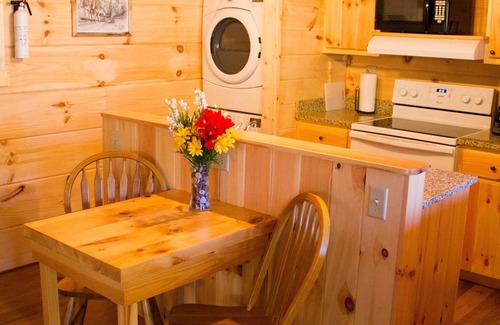 Candler Cabin | Cuddle Up and Relax- Hot Tub, Fireplace, Romantic, View, Free WiFi, Pet Friendly