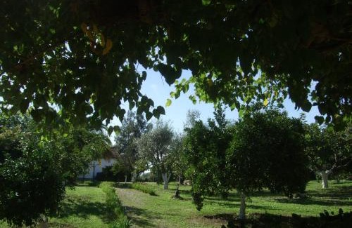 Cordoba House | Cuevas del Pino Turismo Rural y Emocional SL