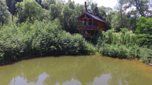 Moisei Cabin | Cuibul Vulturilor - Casuta in Copac
