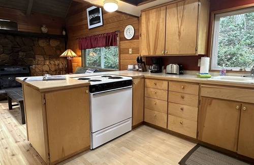 Packwood Cabin | Culps Cascade | Wi-Fi | 2 Bed, 2 Bath
