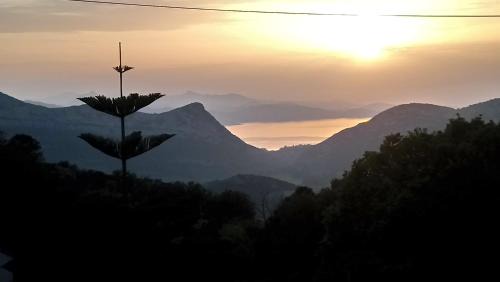Barbaggio House | Curtalina