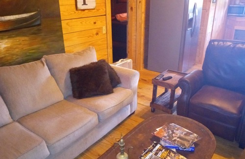 Guntersville House | Custom Built Cabin/Man Cave !