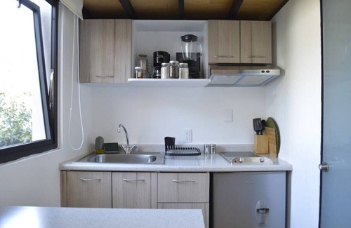 La Concepcion Apartment | Cute Amazing Coyoacán Loft with Rooftop Lounge Smart TV