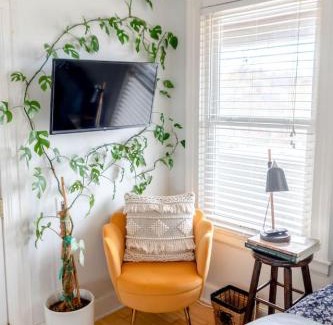 Winooski Falls Mill District Apartment | Cute Apartment in the Heart of Winooski