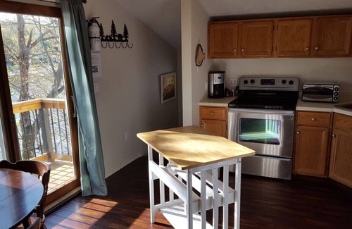 Saugatuck Apartment | Cute Beachfront Guest Unit on Lake