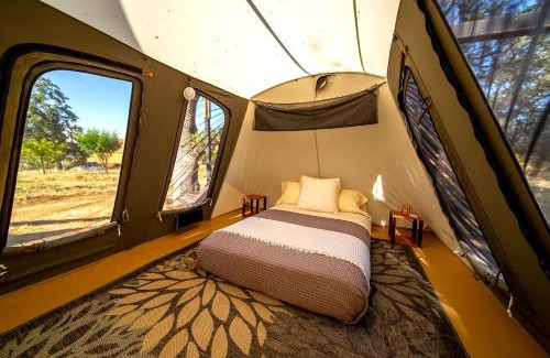 Wheatland Other | Cute, Lakeside Glamping Bell Tent + Amenities, Wheatland, California