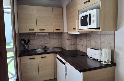 Brides-les-Bains Apartment | Cybeles Residence 4 - BALCONY EXPOSURE EST