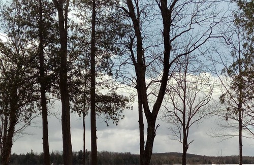 Covington Cabin | Cynic's Cove - A lakefront hideaway deep in the northern forest.