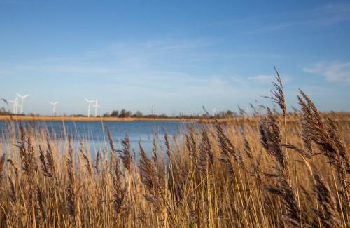 Wangerland House | Dänisches Blockhaus direkt am Wangermeer