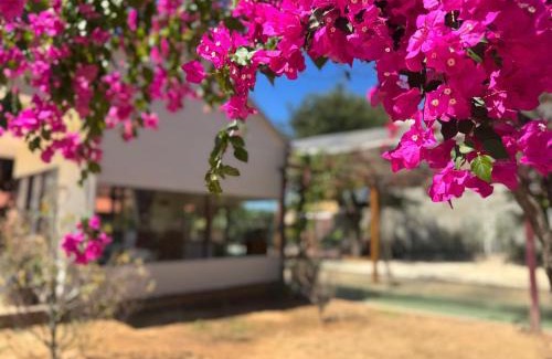 Kon Tum Hotel | D Banlieue Homestay And Coffee TP Kon Tum