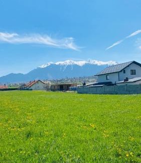 Tohanu Nou Villa | D&M Family Residence Bran 1