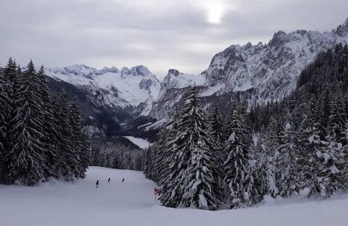 Gosau Apartment | Dachstein view ski apartment