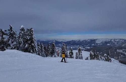 Gosau Apartment | Dachstein view ski apartment