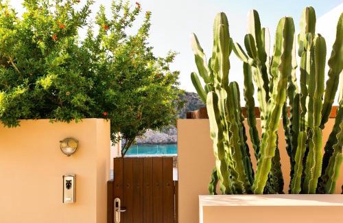 Vathi Resort | Daios Cove