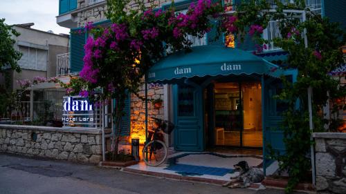 Eski Lara Hotel | DAM HOTEL LARA