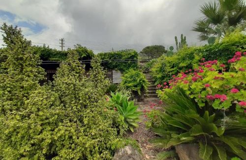Siba-Roncone House | Dammuso nespolo