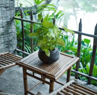 Cai Rang House | Dan Sinh Homestay