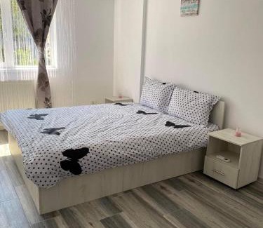 Tulcea Apartment | Dana Studio