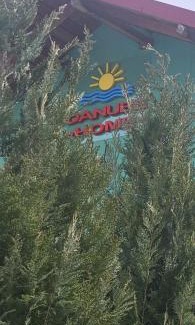 Hinova House | Danube Home