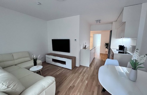 Kaisermuhlen Apartment | Danube22 Apartment