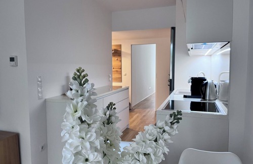 Kaisermuhlen Apartment | Danube22 Apartment