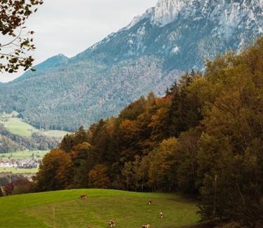 Kiefersfelden Apartment | Das Luegstein