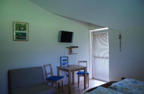 Hollersbach im Pinzgau House | Das Taubenhaus - Nationalpark Sommercard inklusive