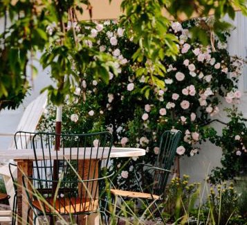 Montauk Hotel | Daunts Albatross Motel