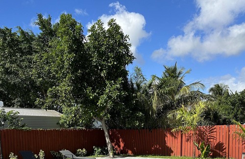 Davie House | Davie Tropical paradise heated, pool, and spa