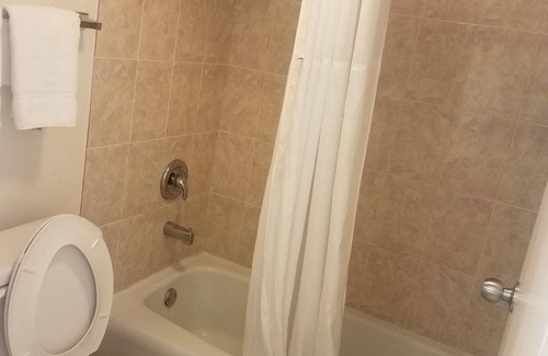 St. Petersburg - Clearwater Hotel | Days Inn by Wyndham St. Petersburg/Tampa Bay Area