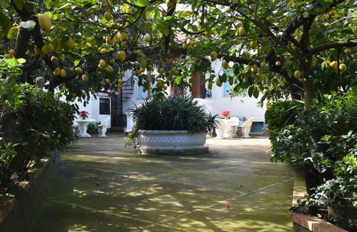 Schiazzano Apartment | De Gregorio