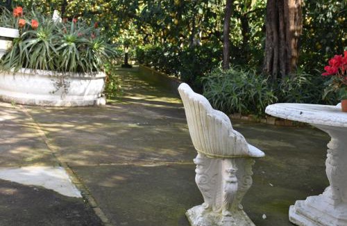 Schiazzano Apartment | De Gregorio