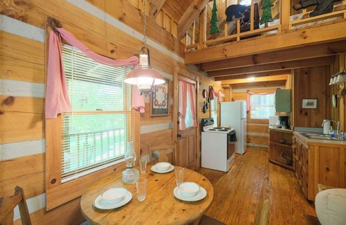 Townsend Cabin | Deck, Jetted Tub, Wi-fi, Near National Park