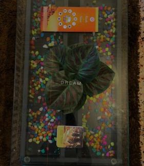 Sigra House | DeeHa Niwas - A Banarasi Home