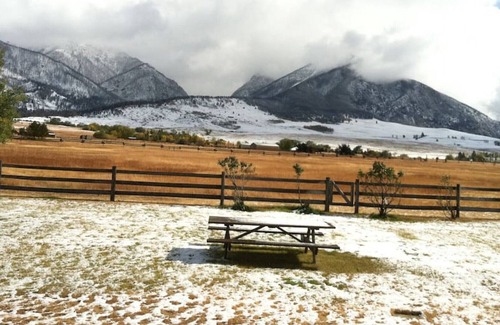 Livingston House | Deep Creek Bench · Luxury Vacation Home, views and wildlife!