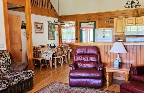Waynesville Cabin | Deer Country Vacation Cabins #3 - Long Range View, Dogs Friendly