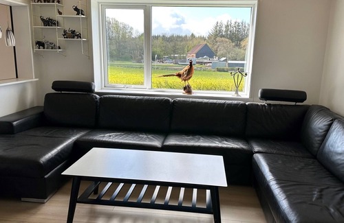 Nykobing Mors Cottage | Dejligt Feriehus i Ejerslev tæt på Havnen