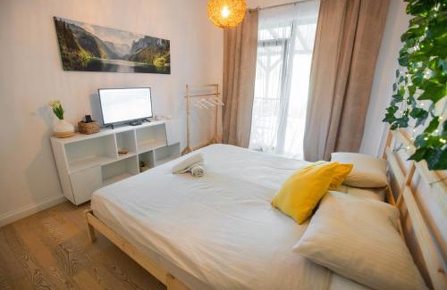 Timisoara Apartment | Dekan Forest Apartments Timisoara