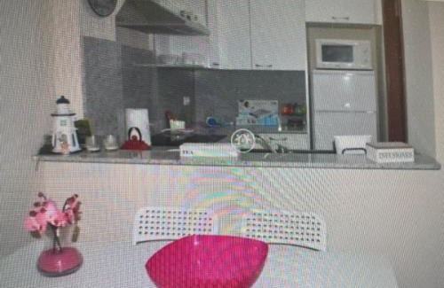 L'Eucaliptus Apartment | Delta libertad