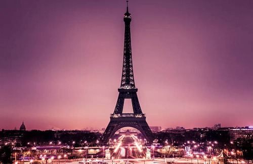 Chaillot Apartment | Deluxe Room In the Heart Of Tour Eiffel Paris