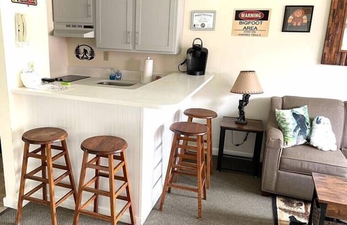 Hancock Apartment | Deluxe Yeti Suite on Jiminy Mtn -1st Flr Sleeps 4 - New Fully Redone Country Inn