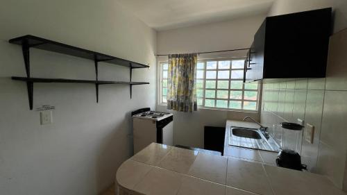 Palenque Apartment | DEPARTAMENTO ANZALDO 1